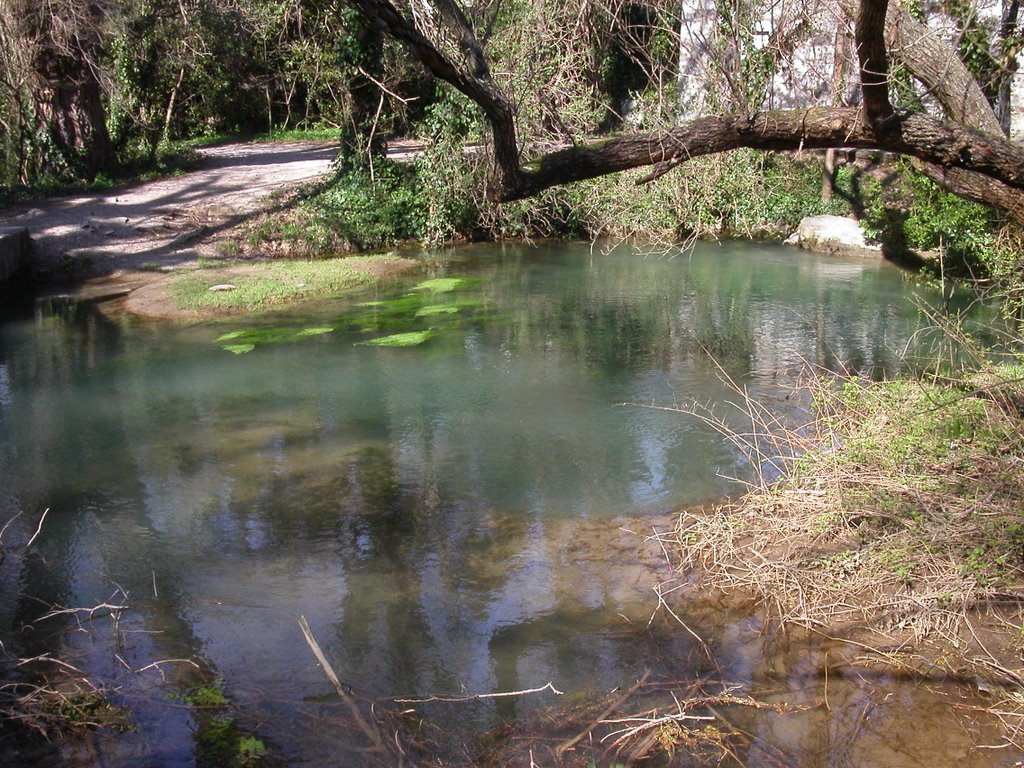 Fiume Timavo . San Giovanni di Duino - TRIESTE by erik frieden