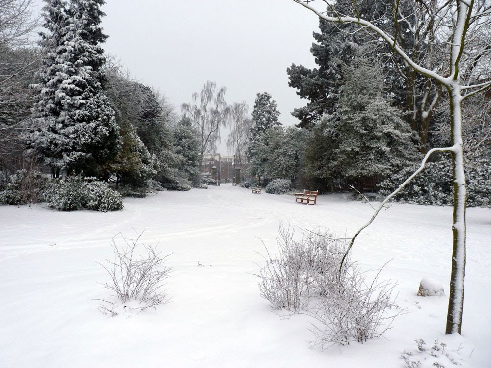 Caldecott Park, Rugby by janaruzena