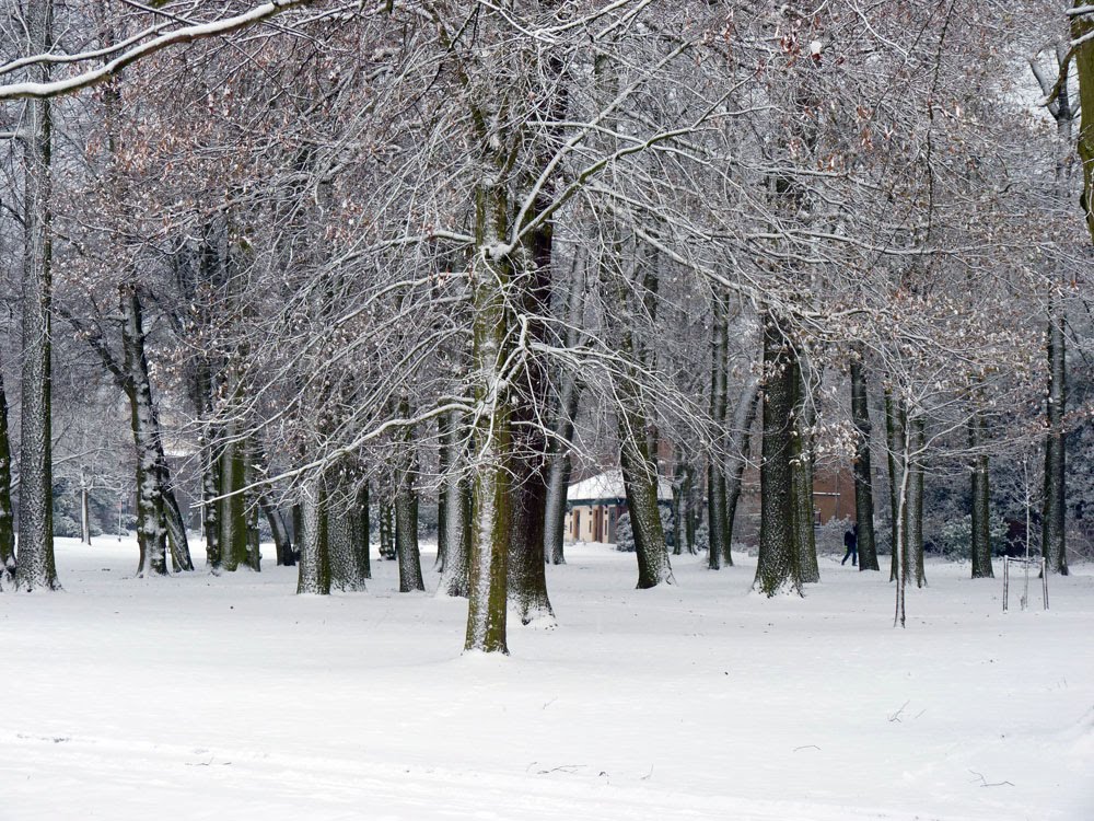 Caldecott Park, Rugby by janaruzena