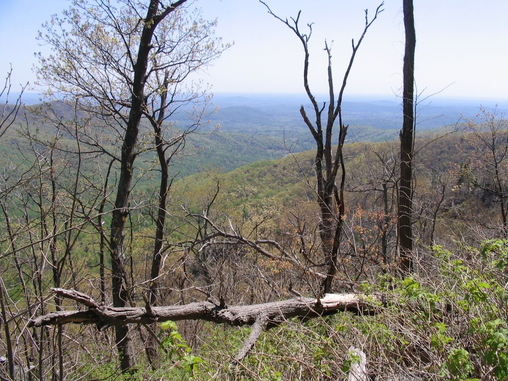 View from Mary's Rock Trail by drsgeo