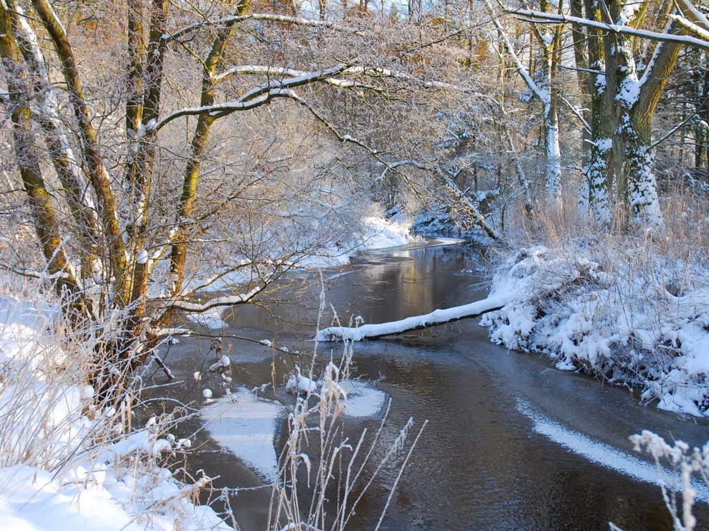 Eiszeit an der Alster im Rader-Wald. Tagestemperatur -8,6 °C. by Hans Wolters