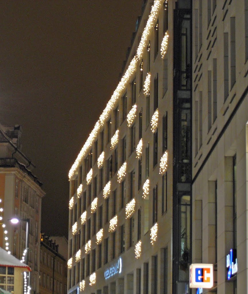 Hotel am Altmarkt by Anne Günter