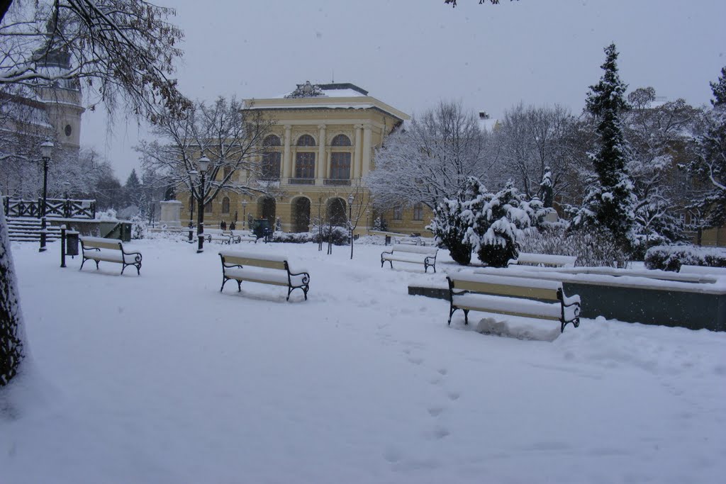 Behavazott magányos padok.. Lonely snow-covered benches. by József Villás