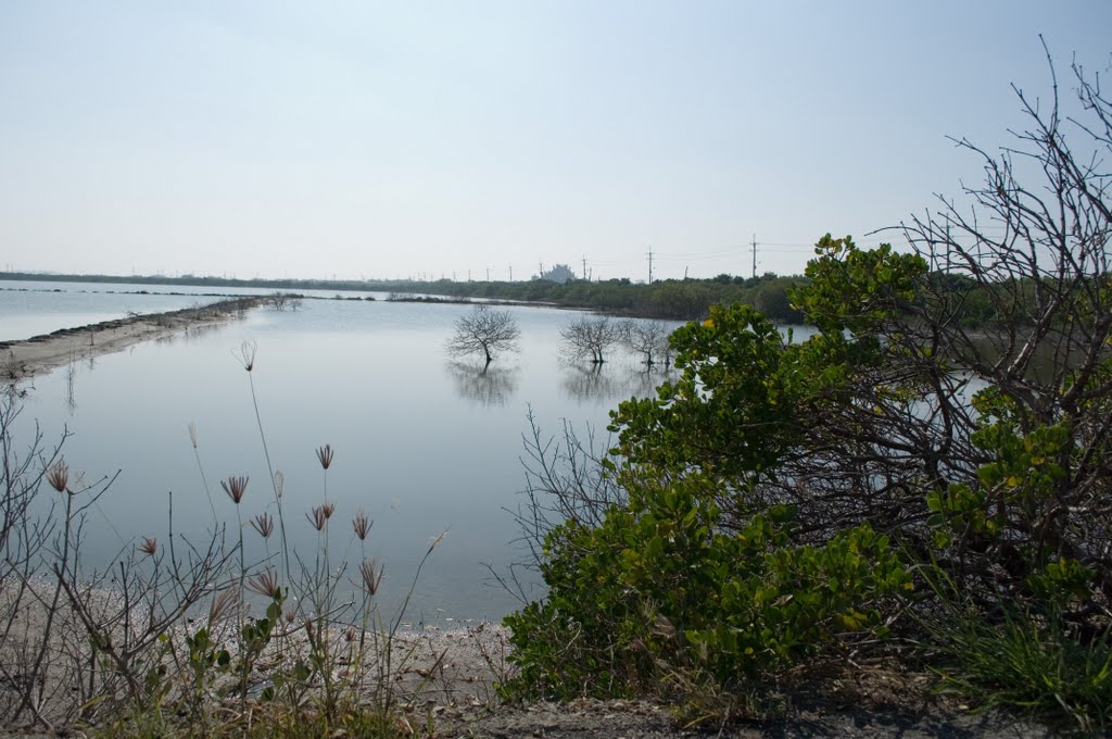 四草生態園區與紅樹林 Sihcao Ecology Park and Mangroves by cymine