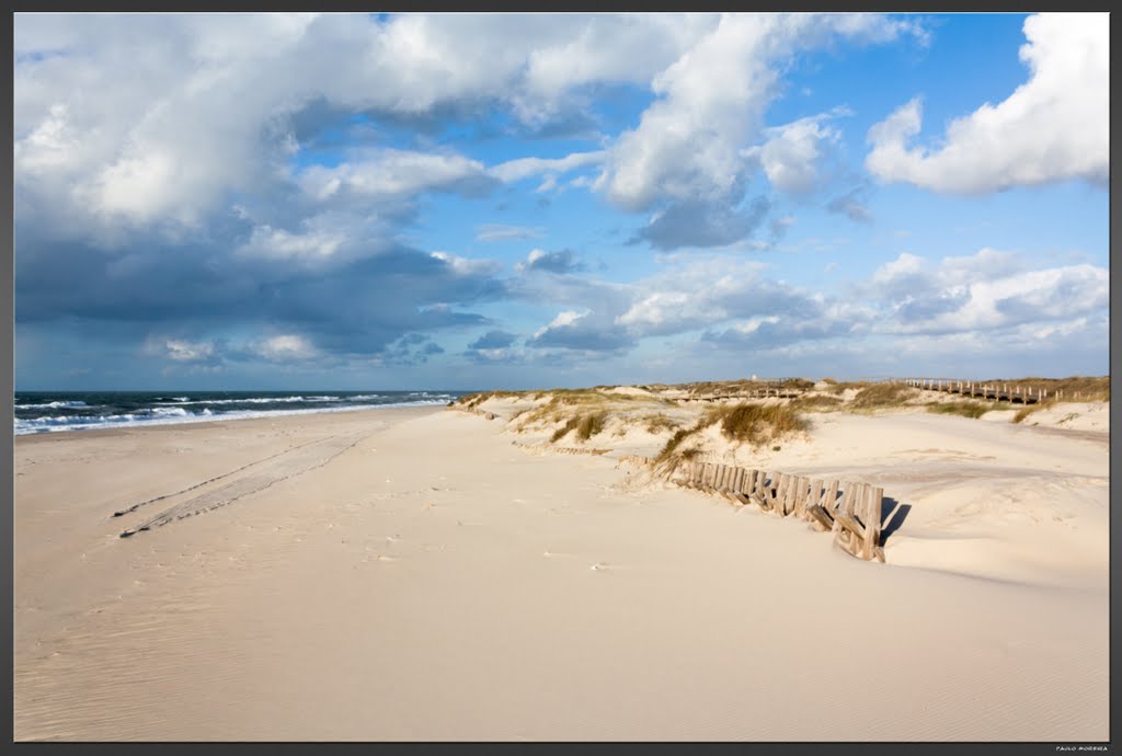 Dunas na Praia da Torreira, Murtosa by Paulo Moreira