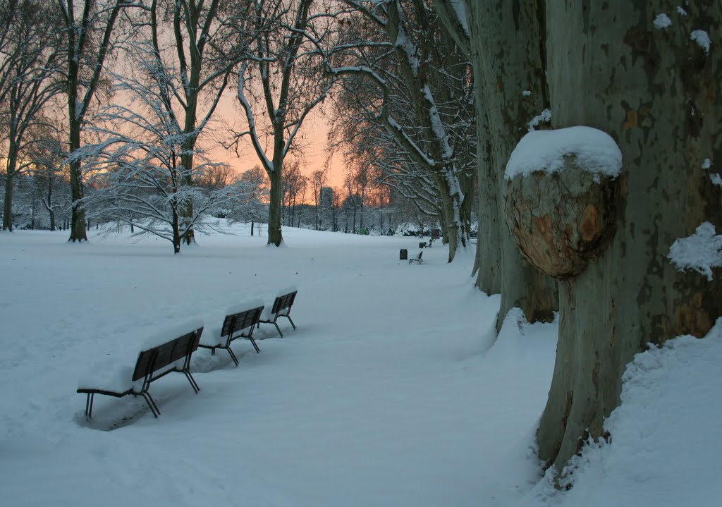 Stuttgart, Unterer Schlossgarten, Weihnachten 2010 by H.-Gerd Brunnert