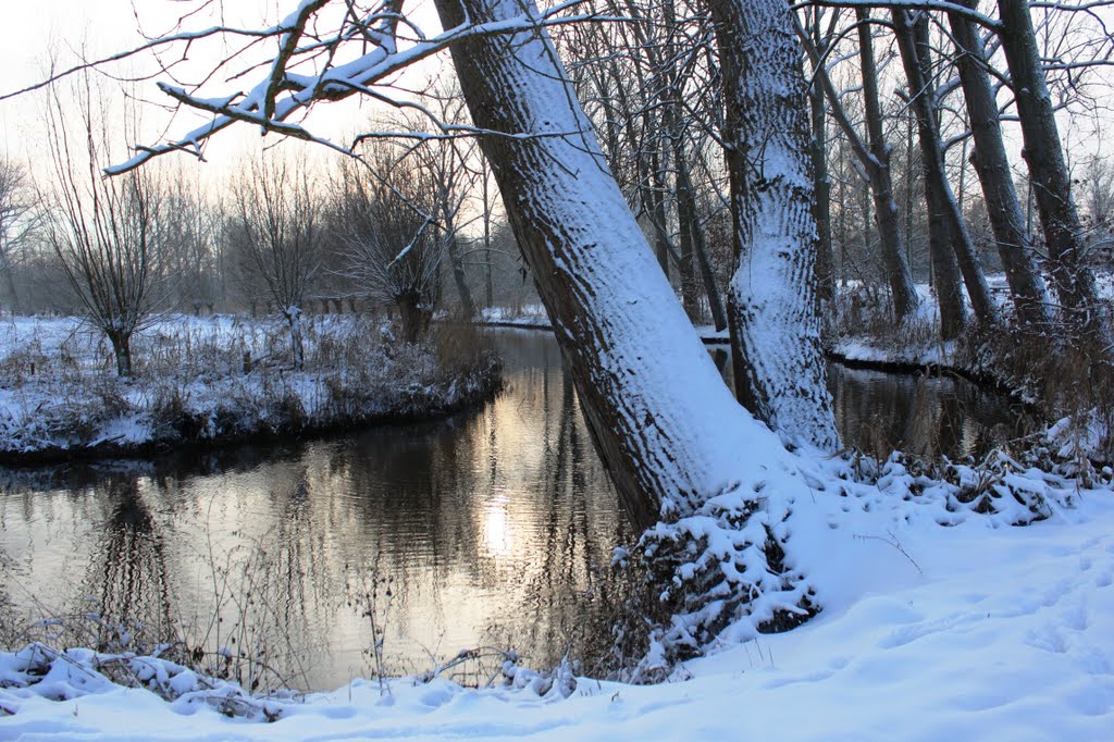 Near the river by © cvandermeijden