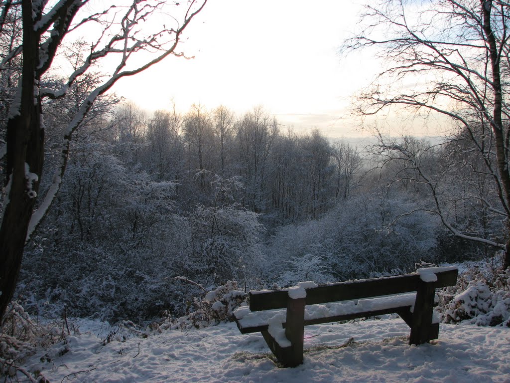 Philips Park, Prestwich, Bury, Dec 2010 by zoe t