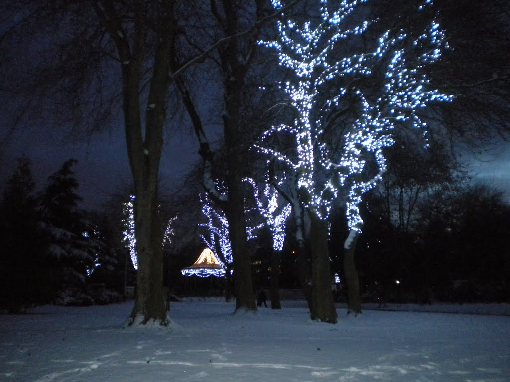 Christmas At Mowbray Park 2010 by lisa coates