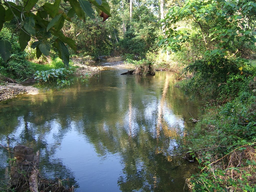 Khanom Stream, Surat Thani by ericb