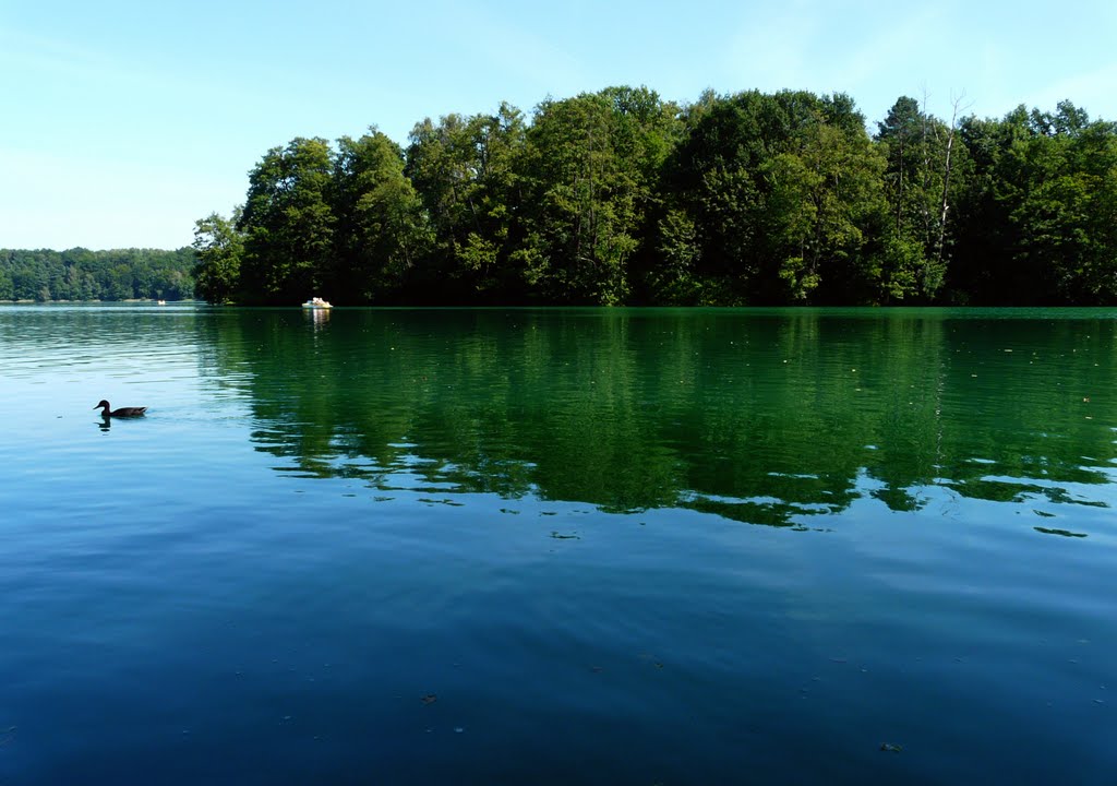 Polska_Łagów Lubuski (Lagow)_Lake Ciecz_Jezioro Ciecz (Tschetschsee)_P1160480.JPG by George Charleston