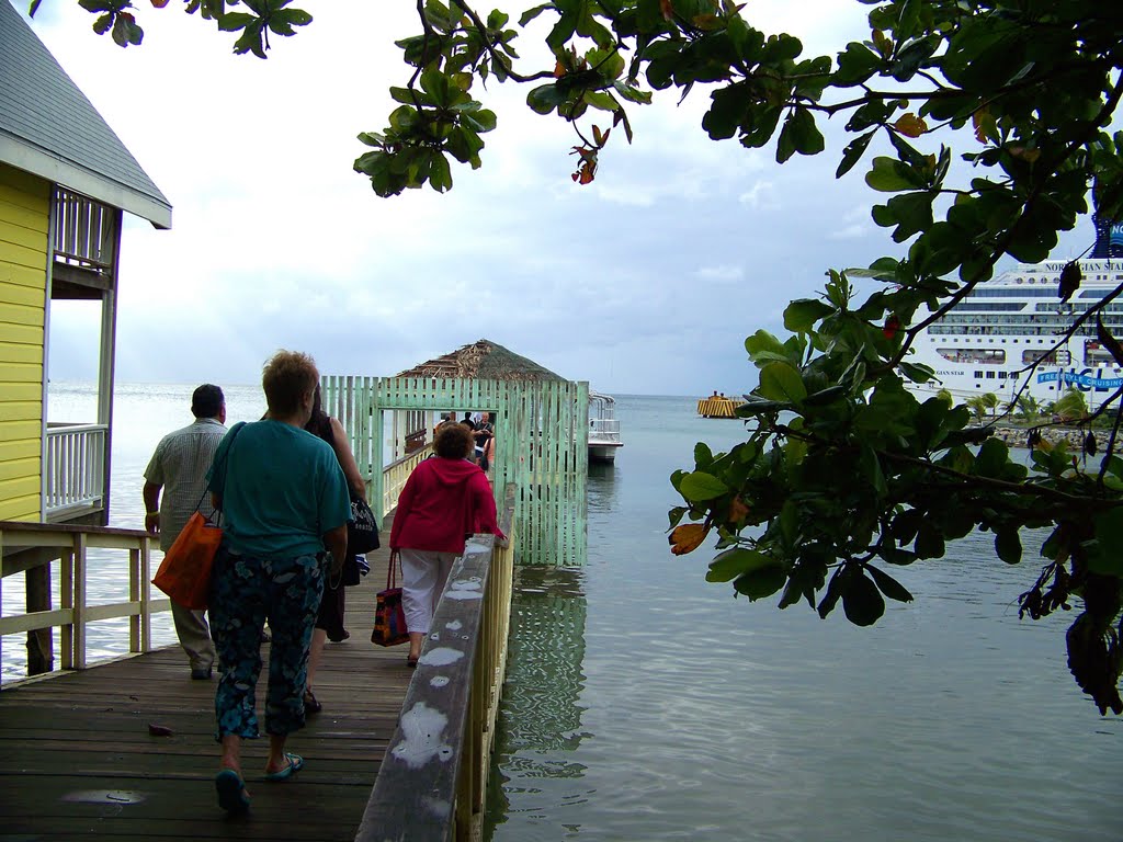 Walking the dock by MAL10587