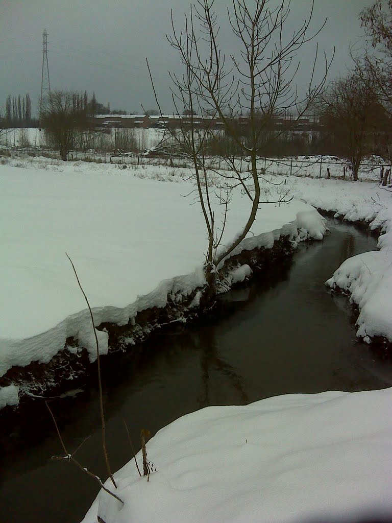 Korbeek-Lo, Oaselaan in de sneeuw by dominiektruyers