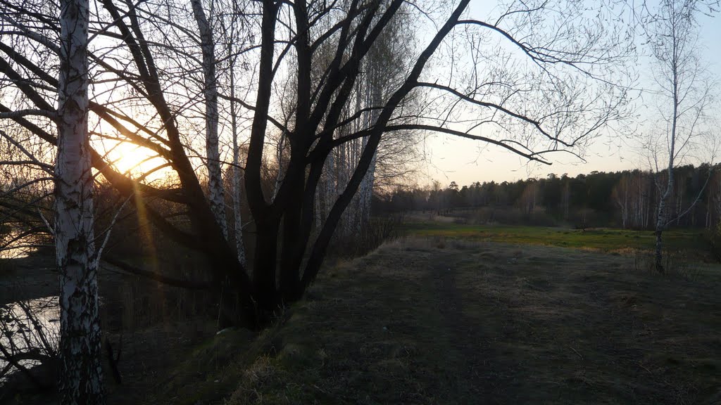 Tsentralnyy rayon, Chelyabinsk, Chelyabinskaya oblast', Russia by Katrus