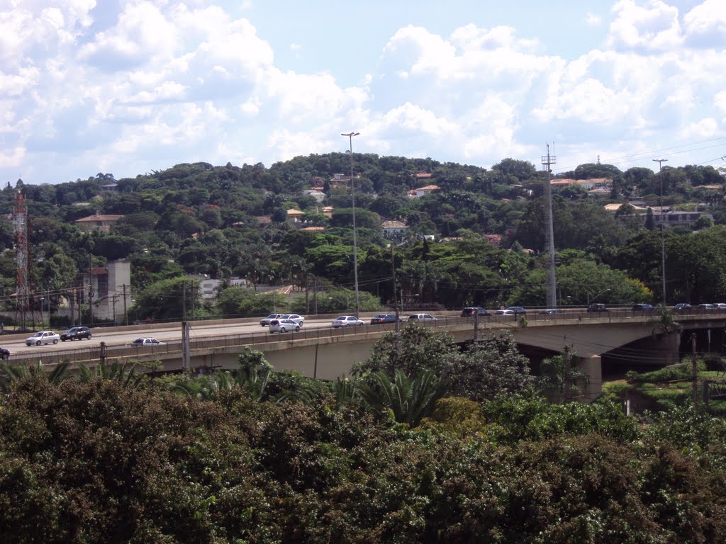 Ponte Cidade Jardim by andreluiz1974