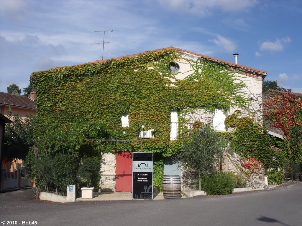 Crozes-Hermitage - Le bistrot des vins by Bob45