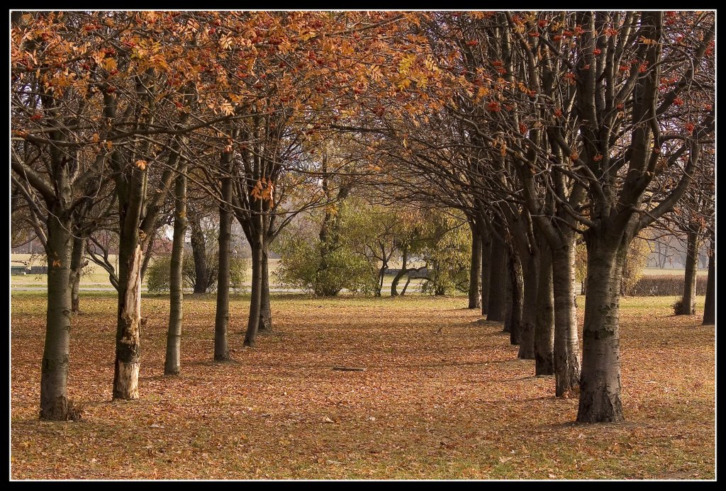 Park Szymanskiego_1 by shadow_alex