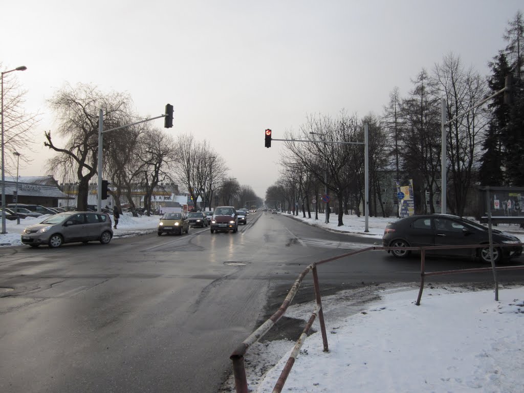 Tarnow, Poland by abelisaurus