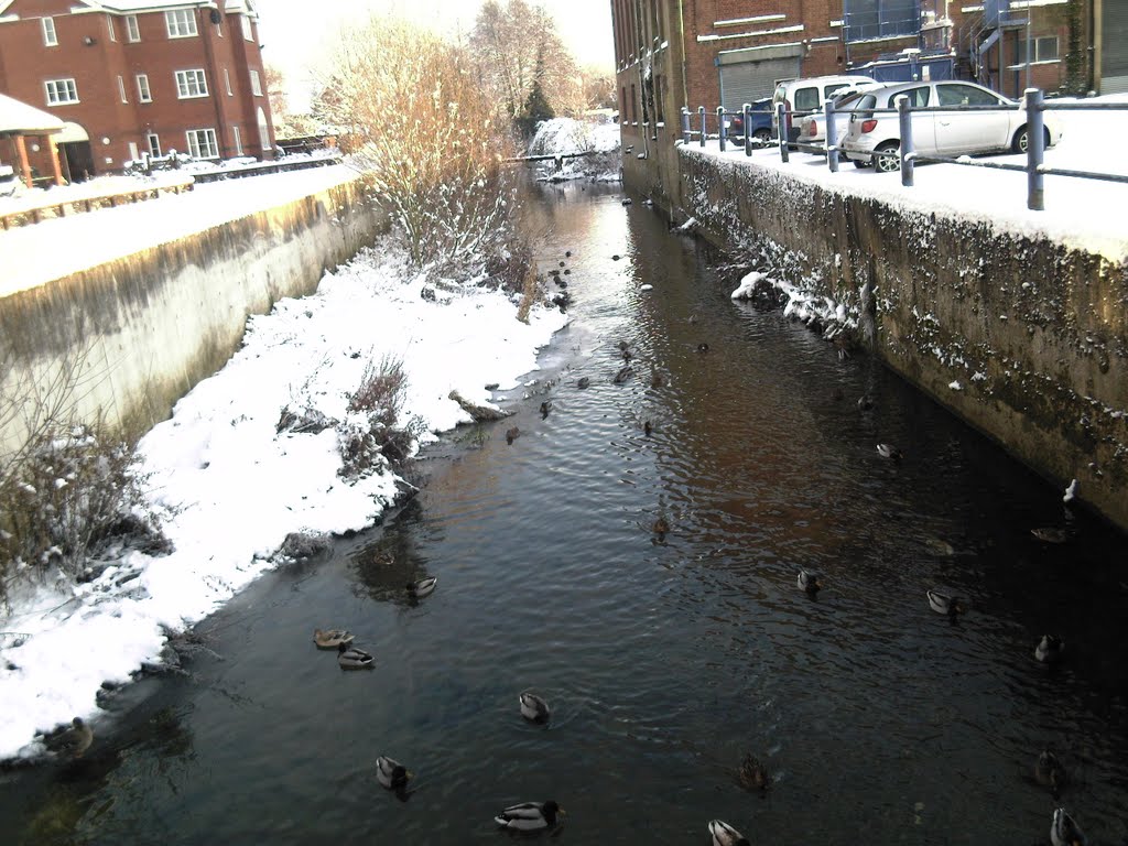 Lake-3, Nearly mill Bridge Road, Halstead, UK by Abu Bakkar (Sharoil)