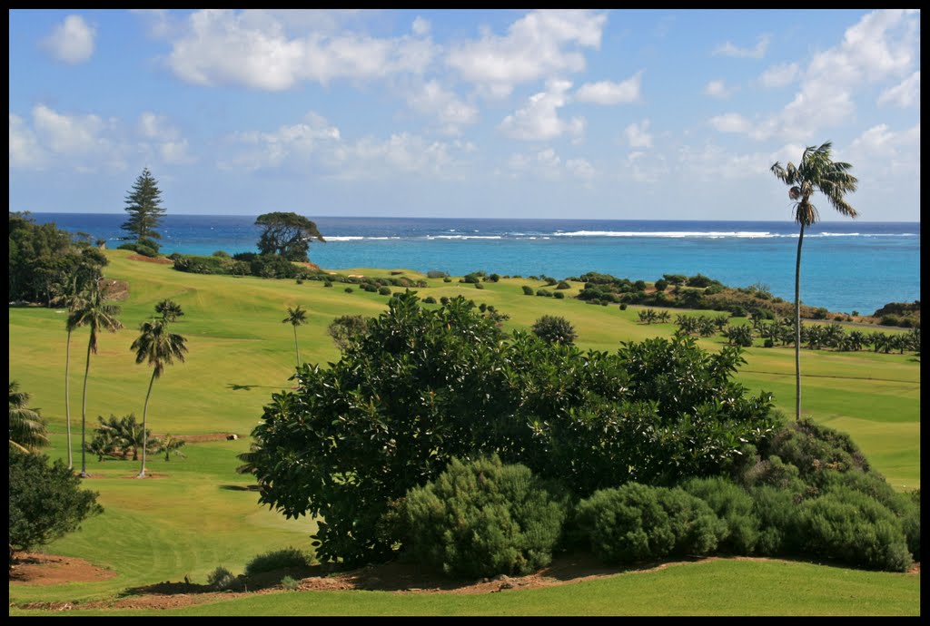 Golf Course by Mark10