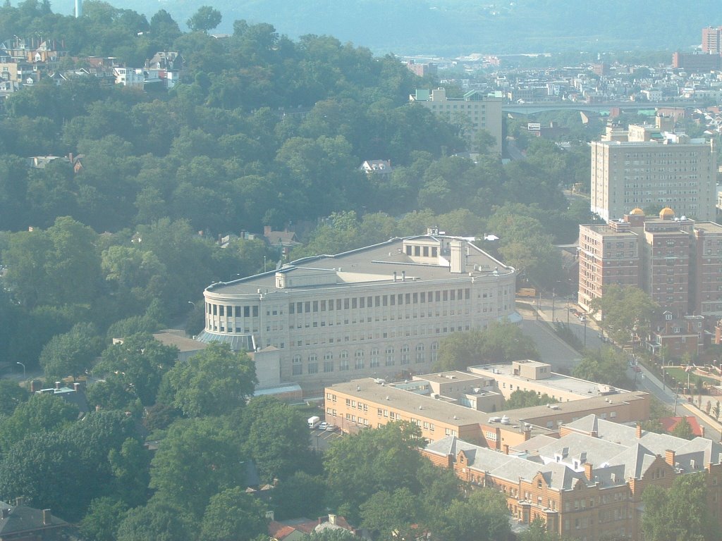 Schenley High School, Pittsburgh, viewed from the Cathedral of Learnning by ian.everhart