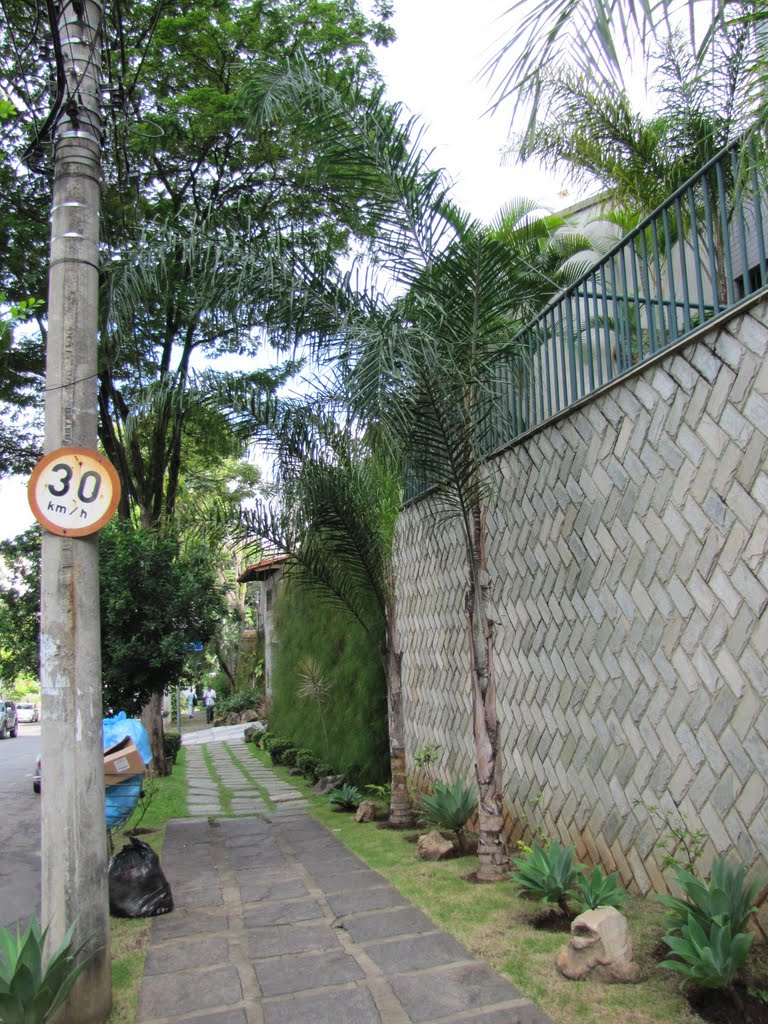 AVENIDA GUAICUÍ by consolmagno