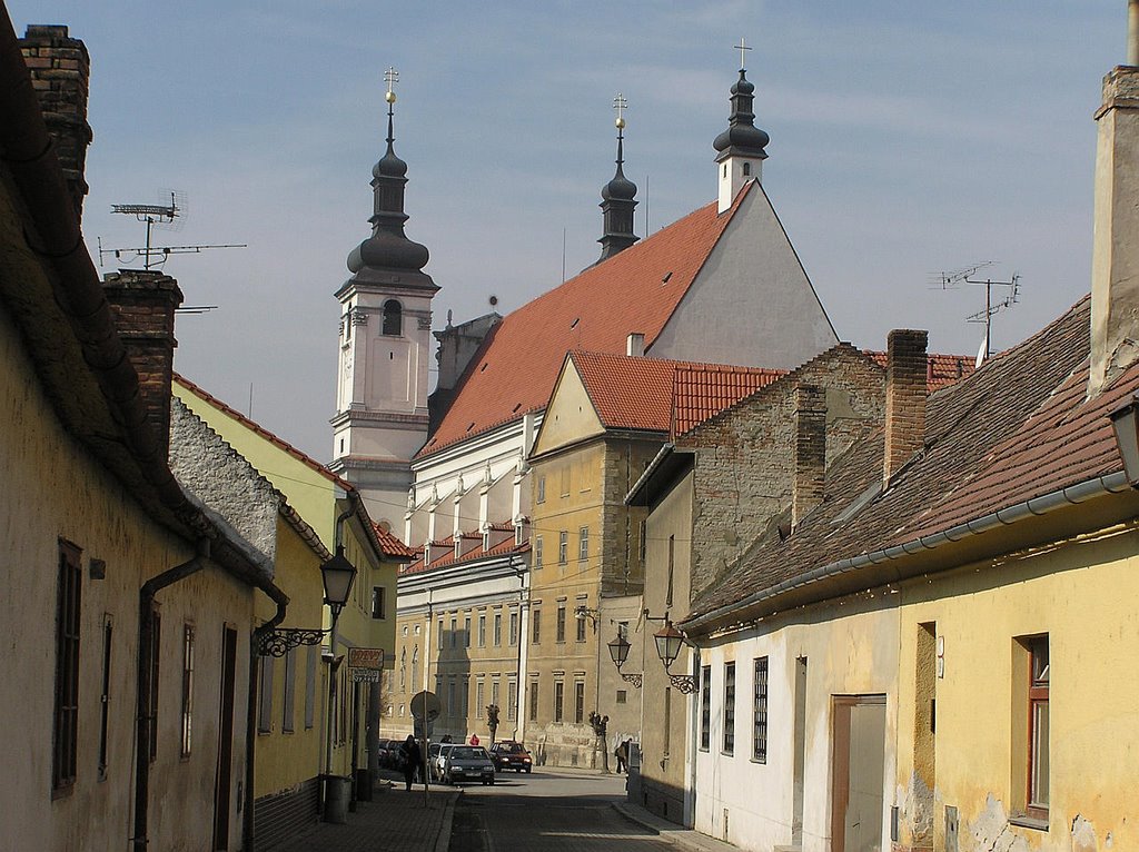 Trnava, church of John the Baptist by Miro Toman