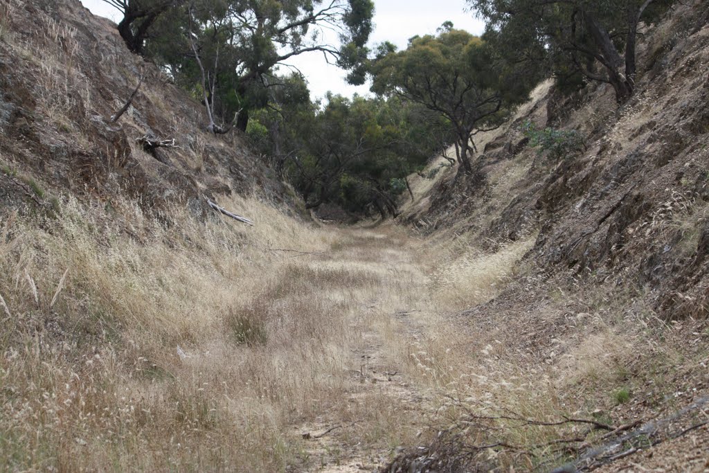 High Camp cutting by Rob Lee