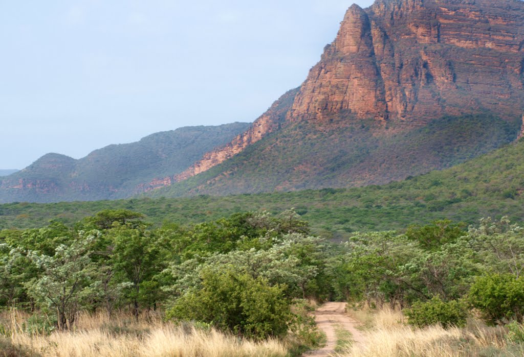 Bushweld at Entabeni by panofinn