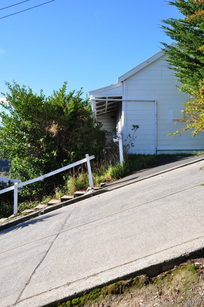 Baldwin Street in Dunedin, New Zealand, is the steepest street in the world. At an angle of 19°, the 350m road rises 70m in it's length. A good leg workout! by David K