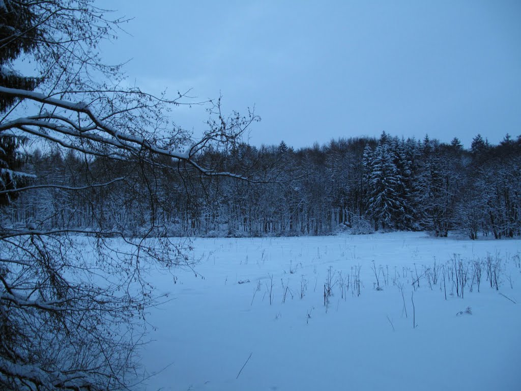 Karlsdorf (Nähe Brehmen / Esselbrunn / Buch) - "Seelein" im Quellgebiet des Schüpfbachs by H. Beierstettel