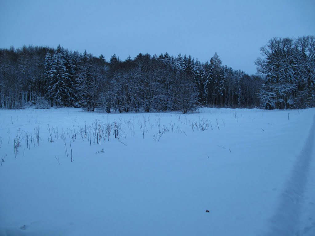 Karlsdorf (Nähe Brehmen / Esselbrunn / Buch) - "Seelein" im Quellgebiet des Schüpfbachs by H. Beierstettel