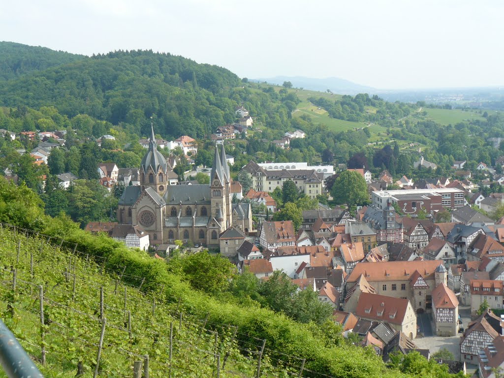 Heppenheims Altstadt by Armin Silber