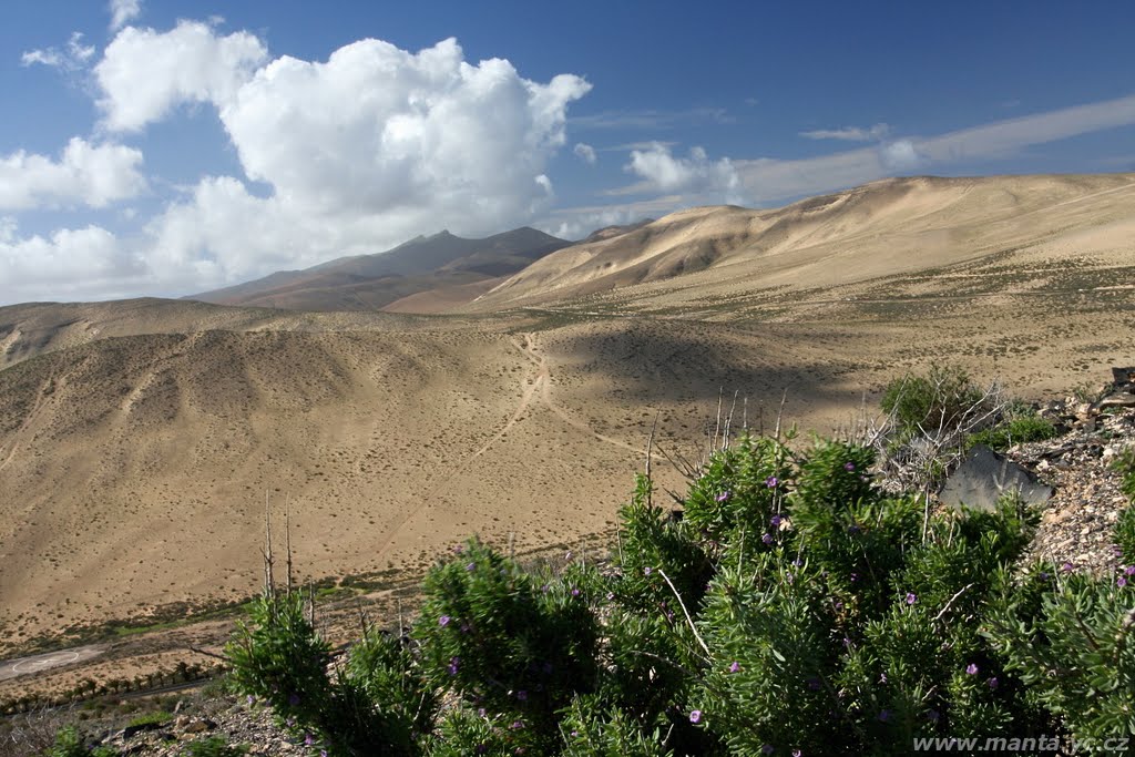 Fuerteventura - Peninsula de Jandía by ancistrus