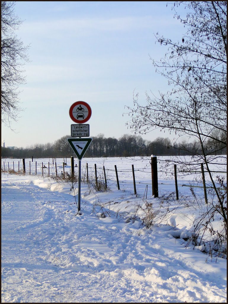 Landschaftsschutzgebiet Ohleneesch, Dezember 2010 by Dan-Fan