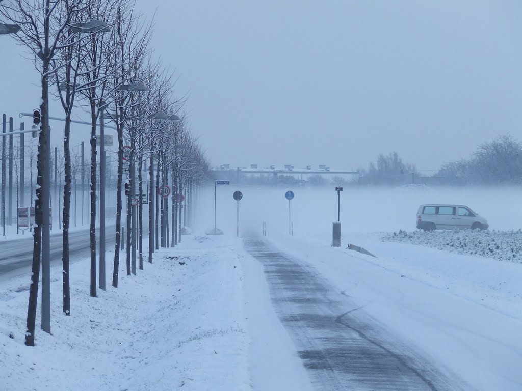 Bodennebel im Bösfeld 12/2010 by Michael Melchert