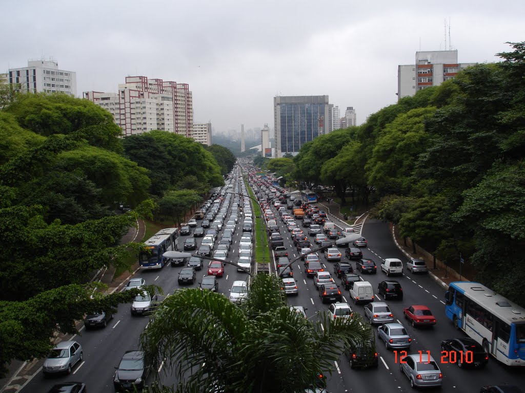 Av.23 de Maio vista do Viad.da Rua Cubatão by TWang94