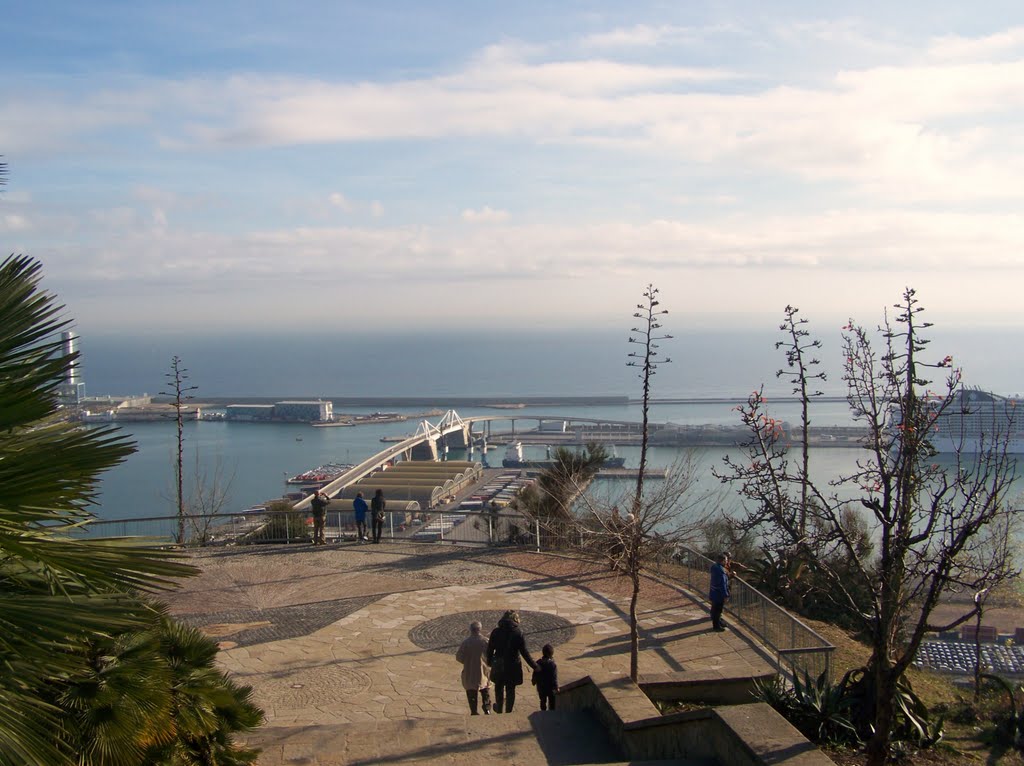 Vistes del port de Barcelona des de Montjuïc by Yeagov