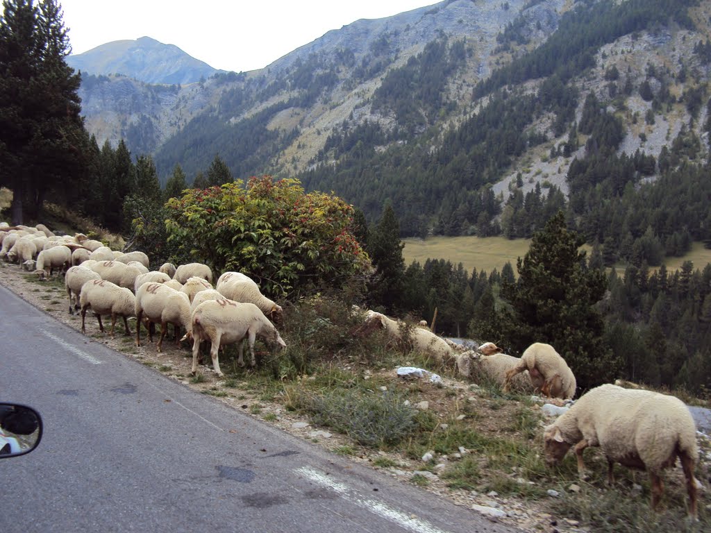 04530 La Condamine-Châtelard, France by paul verreydt