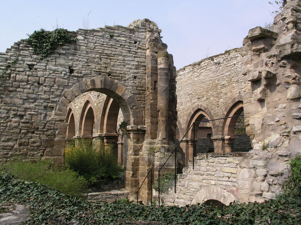 Kloster und Kaiserpfalz Memleben Schiff v. Ost by Jochen Sauerbier