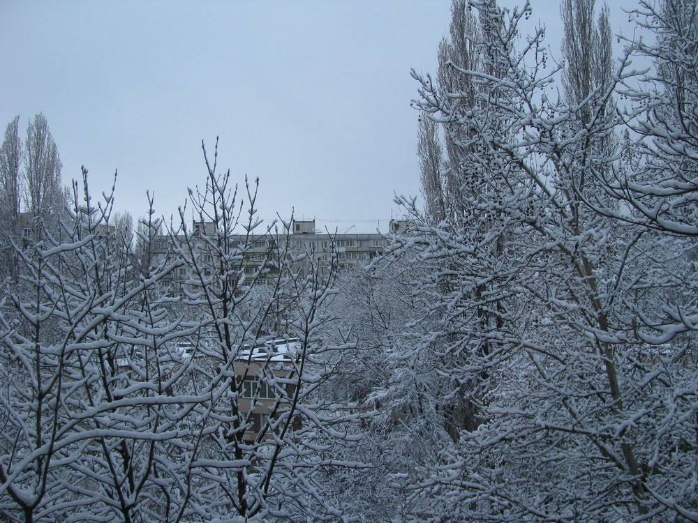 Kyivs'kyi District, Odessa, Odessa Oblast, Ukraine by Citrus-2007