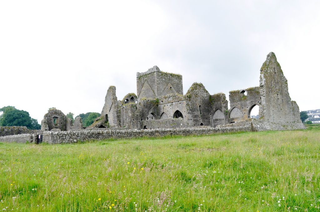 Hore abbey by lonnie Cox