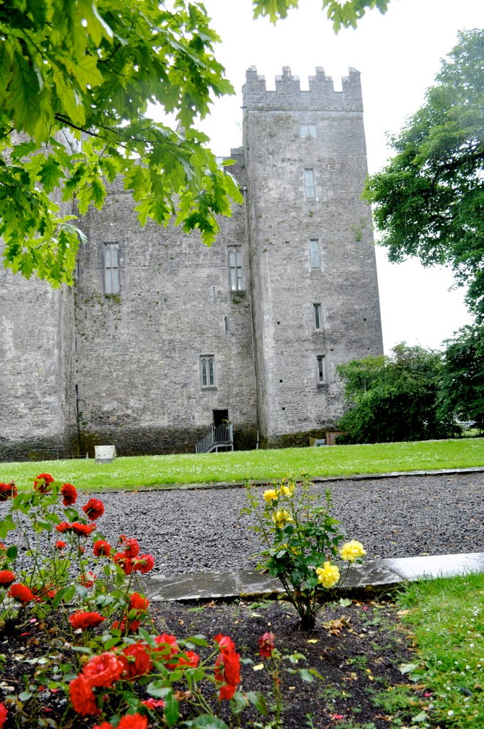 Bunratty West, Co. Clare, Ireland by lonnie Cox