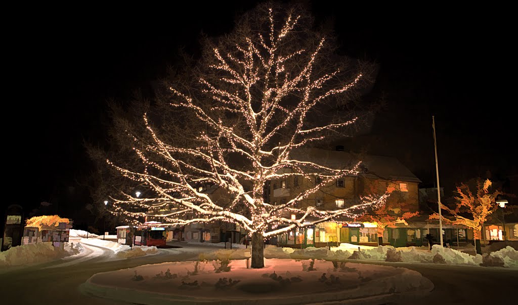 Merry Christmas by Bengt Nyman