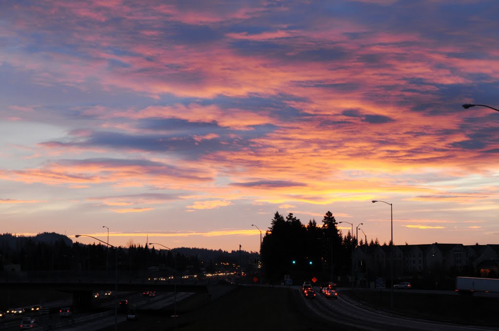 Blue hour before sunrise at Hillsboro,Oregon by gunmano_kumasan