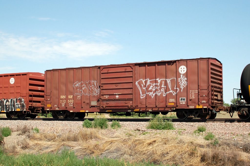 Burlington Northern Santa Fe Railway Box Car No. 712502 at Poplar, MT by Scotch Canadian