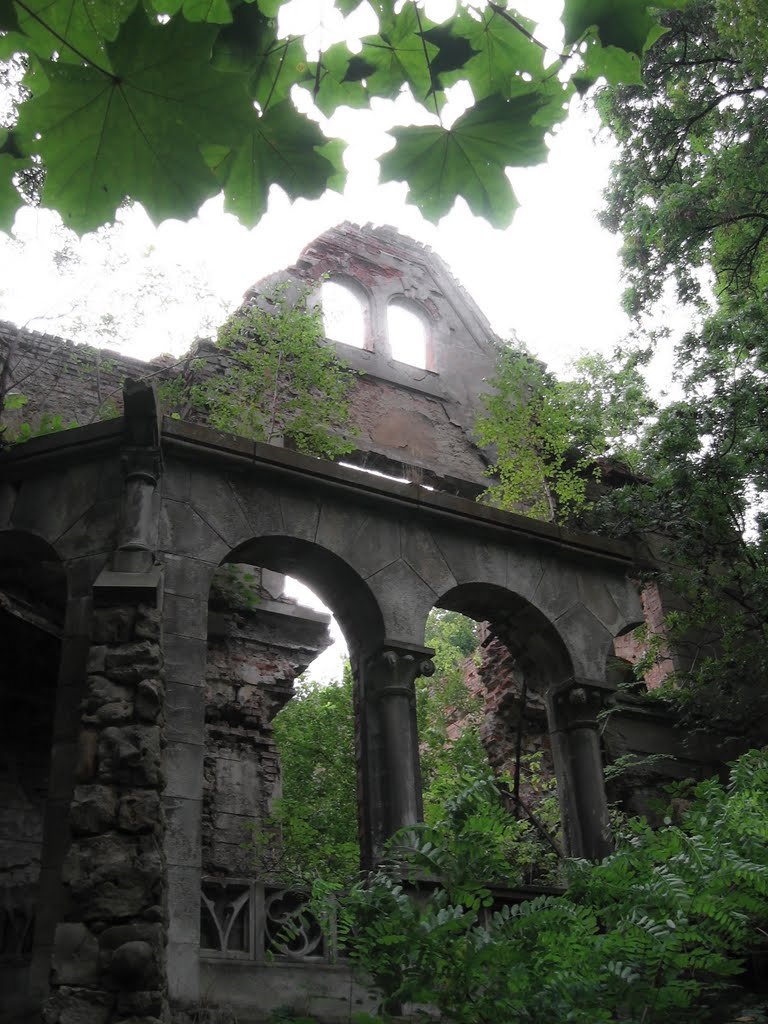 Ruins of the Moes Family’s Palace by Rava