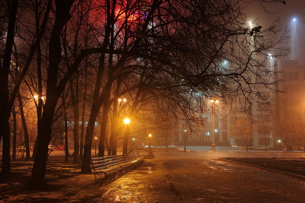 In fog. В тумане. by Mykhailo Krasnopolsk…