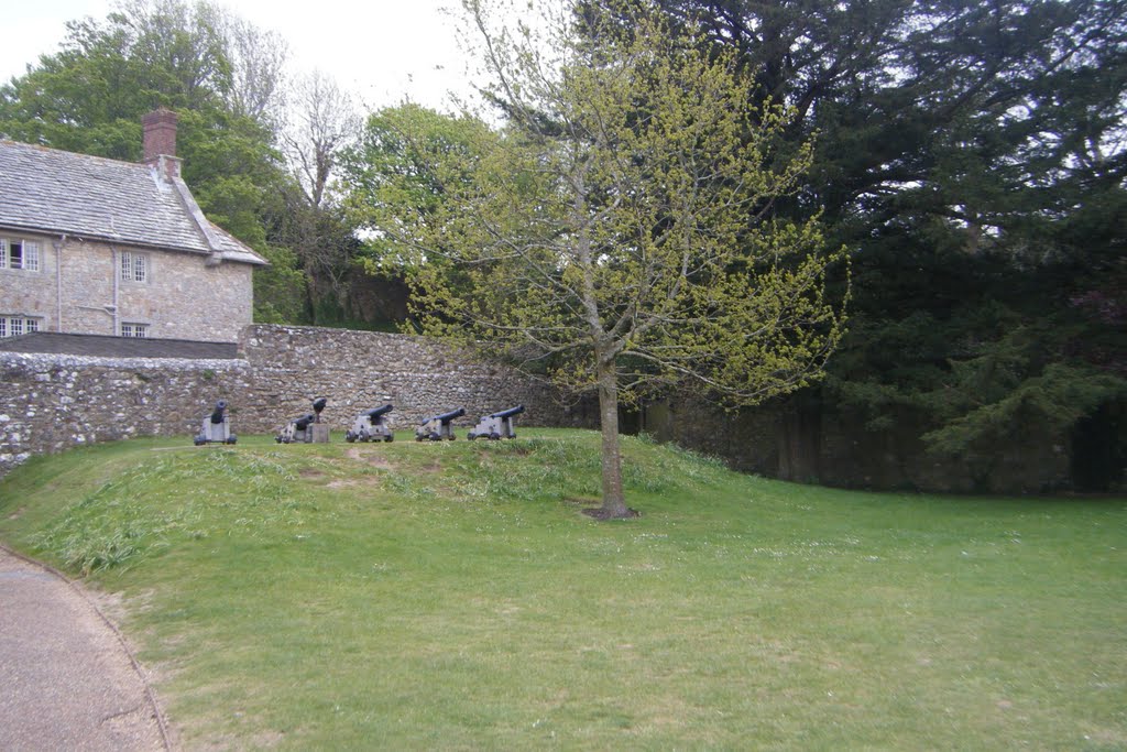 Carisbrooke cannons by David Marsh