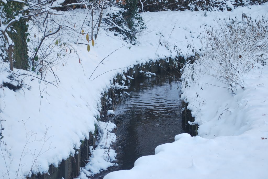 Miksebeek, Brasschaat, in winter by Hans Van Deuren